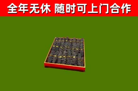 宜宾回收海参